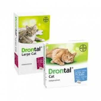 images/categorieimages/drontal-katten.jpg