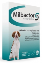 images/categorieimages/milbactor-dog.jpg