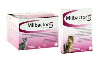 images/categorieimages/milbactor-katten.jpg