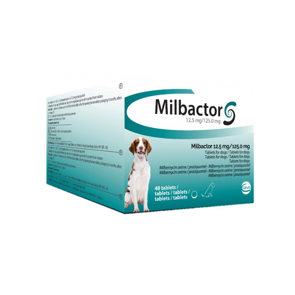 Milbactor Hond 12  tabletten