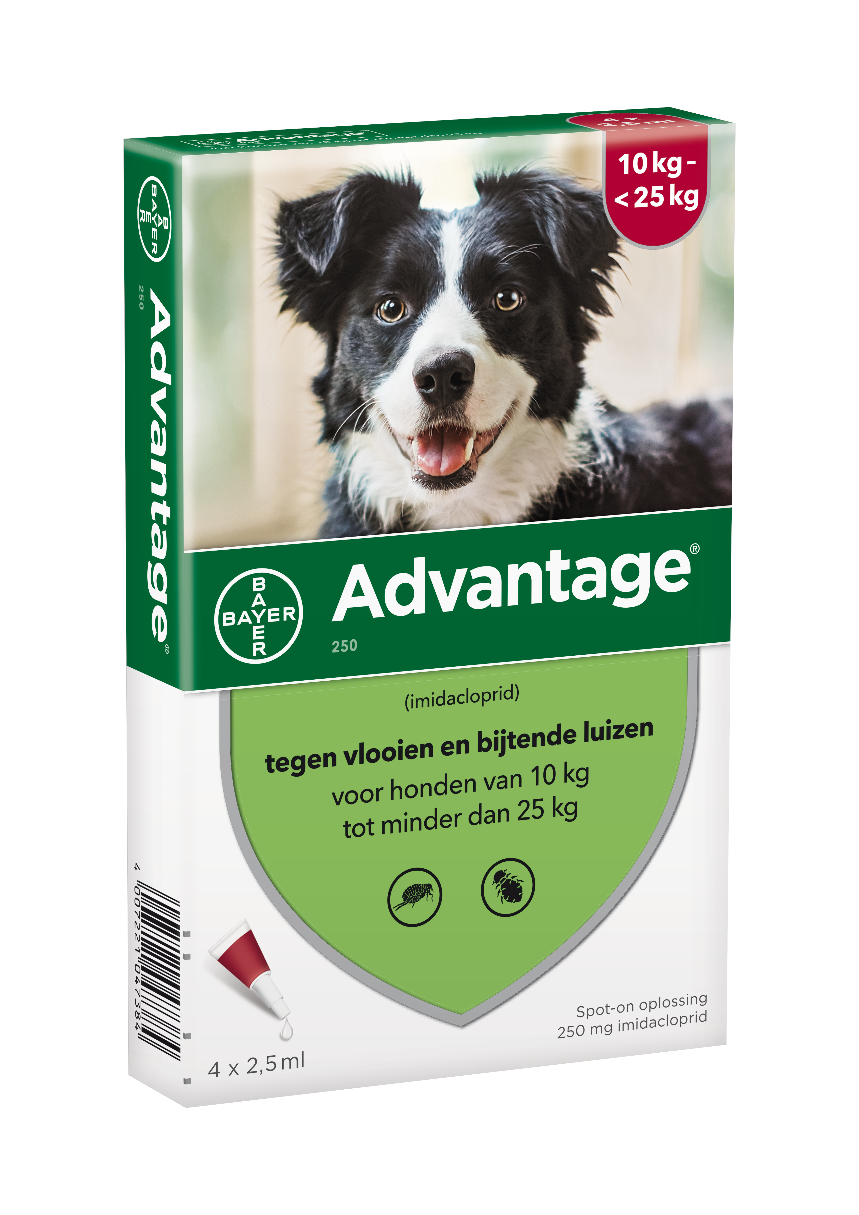 Advantage hond 250 mg  <br> 10-25 kg 4 pipetten