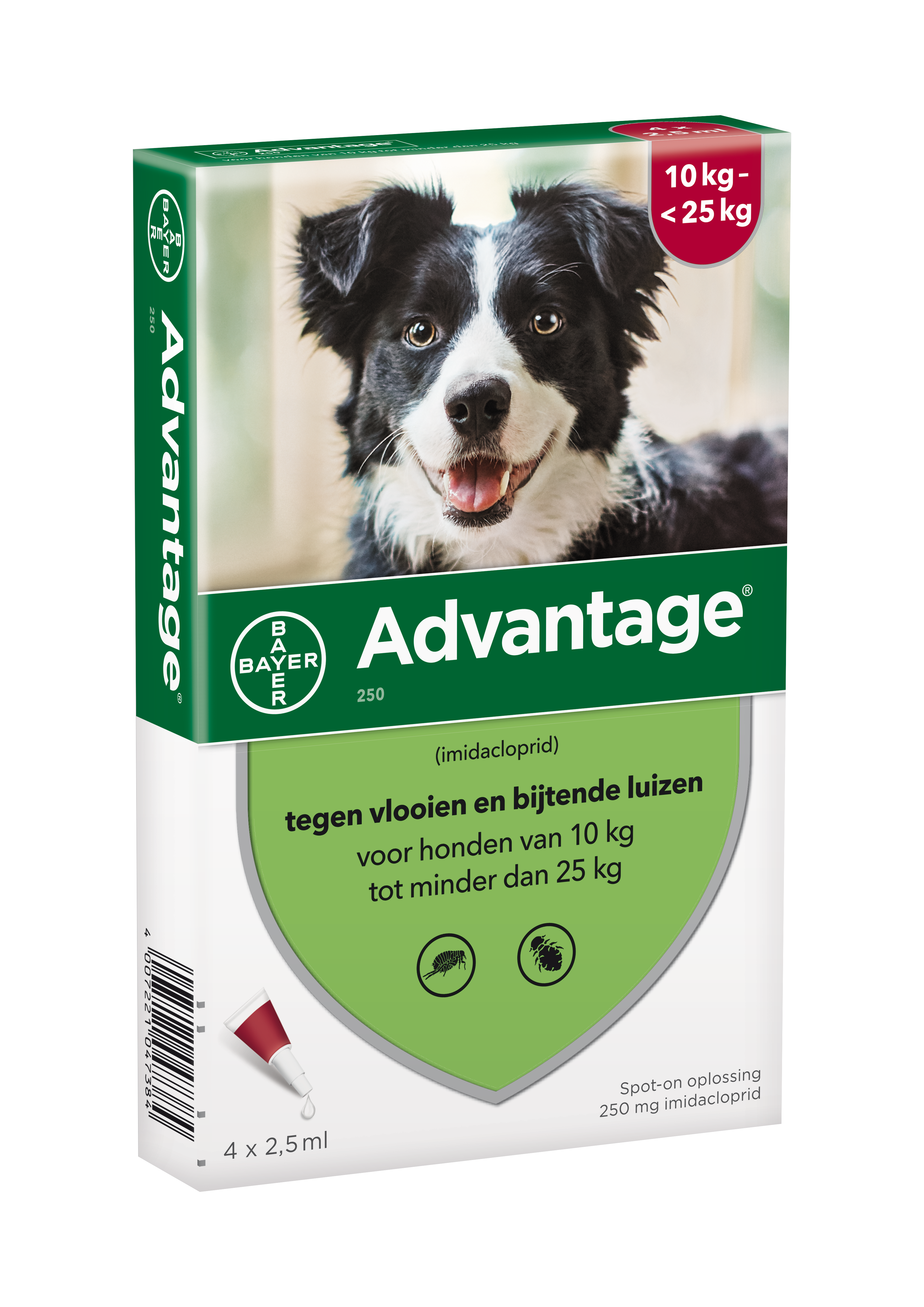 shuttle Het spijt me koepel Bayer Advantage vlooiendruppels spot-on voor de hond 250 mg