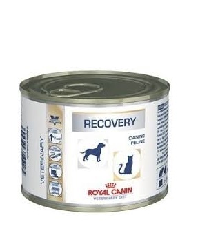 Royal Canin Recovery 12 x 195 gram