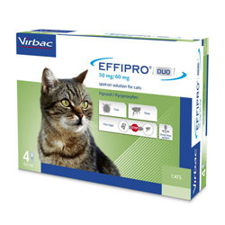 Effipro Duo spot-on kleine kat tot 6 kg 4 pipetten