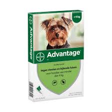 Advantage hond 40 mg <br> < 4kg 4 pipetten