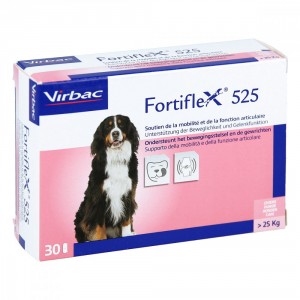 Fortiflex 525 mg 3x 30 tabletten (90)