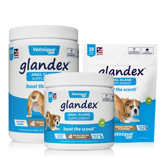 Glandex soft chews 2x 120 chews