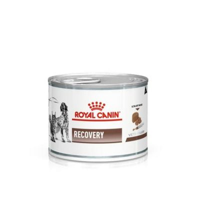 Royal Canin Recovery 12 x 195 gram