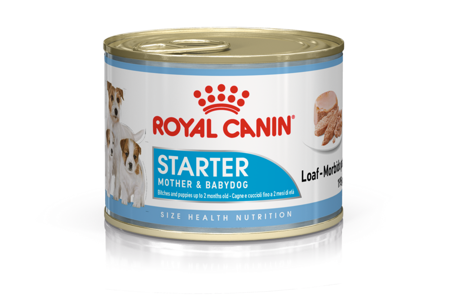 Royal Canin Starter Mousse pup  3x 12 (36) x 195 gram
