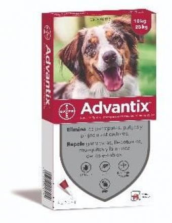 images/productimages/small/117368-advantix-antiparasitario-perro-10-25kg-1-g.jpg