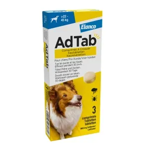 images/productimages/small/add-tab-22.webp
