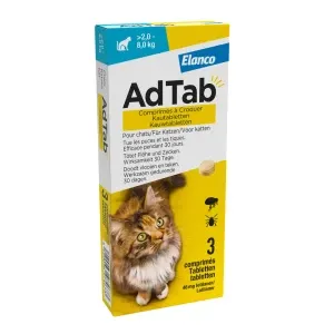 images/productimages/small/add-tab-kat.webp