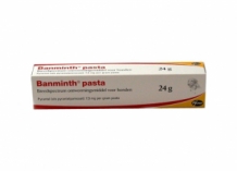 images/productimages/small/banminth-pasta.jpg