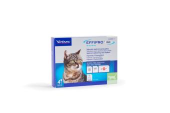images/productimages/small/effipro-grote-kat.jpg