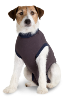 images/productimages/small/jacketz-hond.png