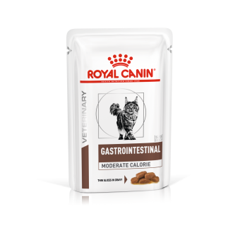 Royal canin gastrointestinal moderate kat <br> 2x 12x (24) x 85 gram (natvoer)