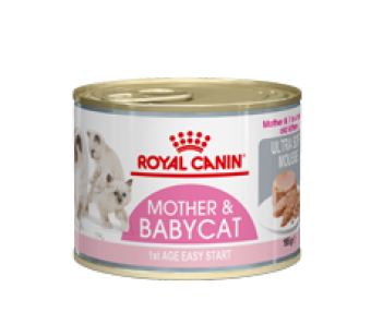 Royal Canin mother & babycat mousse 3x 12 (36)x 195 gram