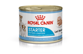 images/productimages/small/royal-canin-starter-mousse-mother-babydog-pup-hond-natuurlijke-afweer-tijdens-dracht.png