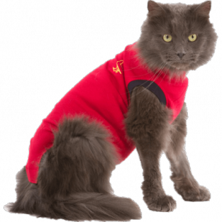 Medical Pet Shirt Kat