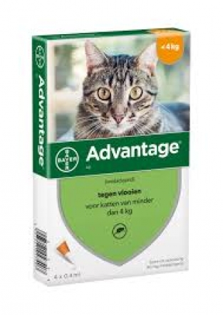 Advantage kat 40 mg <br>  10x 4 pipetten