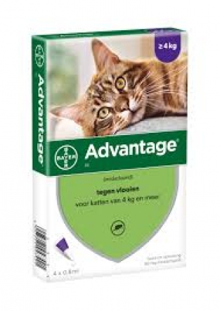 Advantage kat 80 mg  <br>4 pipetten