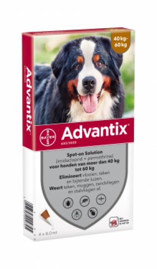 Advantix  hond 40-60 kg 600/3000 4 pipetten