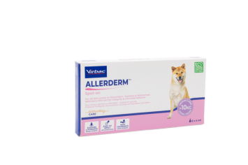 Allerderm spot-on 6x 4 ml (>10 kg)