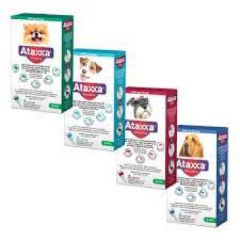 Ataxxa hond 1250/250  mg <br> 10-25 kg hond 2x 3 pipetten 