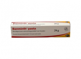 Banminth 2 x 24 g