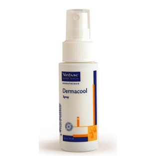 Dermacool 'hot spot' spray 2x 50 ml