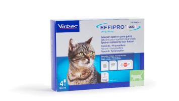 Effipro Duo spot-on kleine kat tot 6 kg 4 pipetten