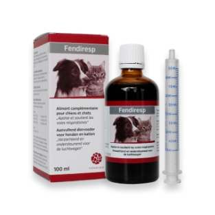 Fendiresp hoestsiroop 2x 100 ml