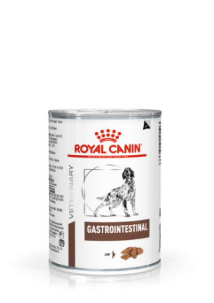 Royal Canin Gastro Intestinal hond 12 x 400g