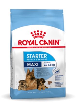 Royal canin Starter <br>maxi mother babydog 4 kg