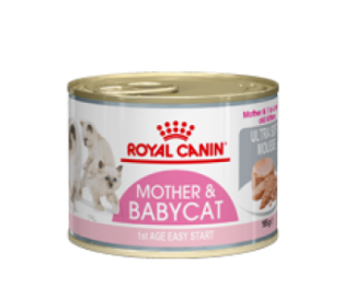 Royal Canin mother & babycat mousse <br>3x 12 (36)x 195 gram