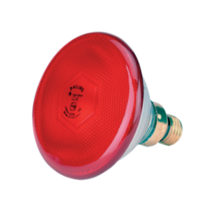 warmtelamp 100 watt Philips spaar